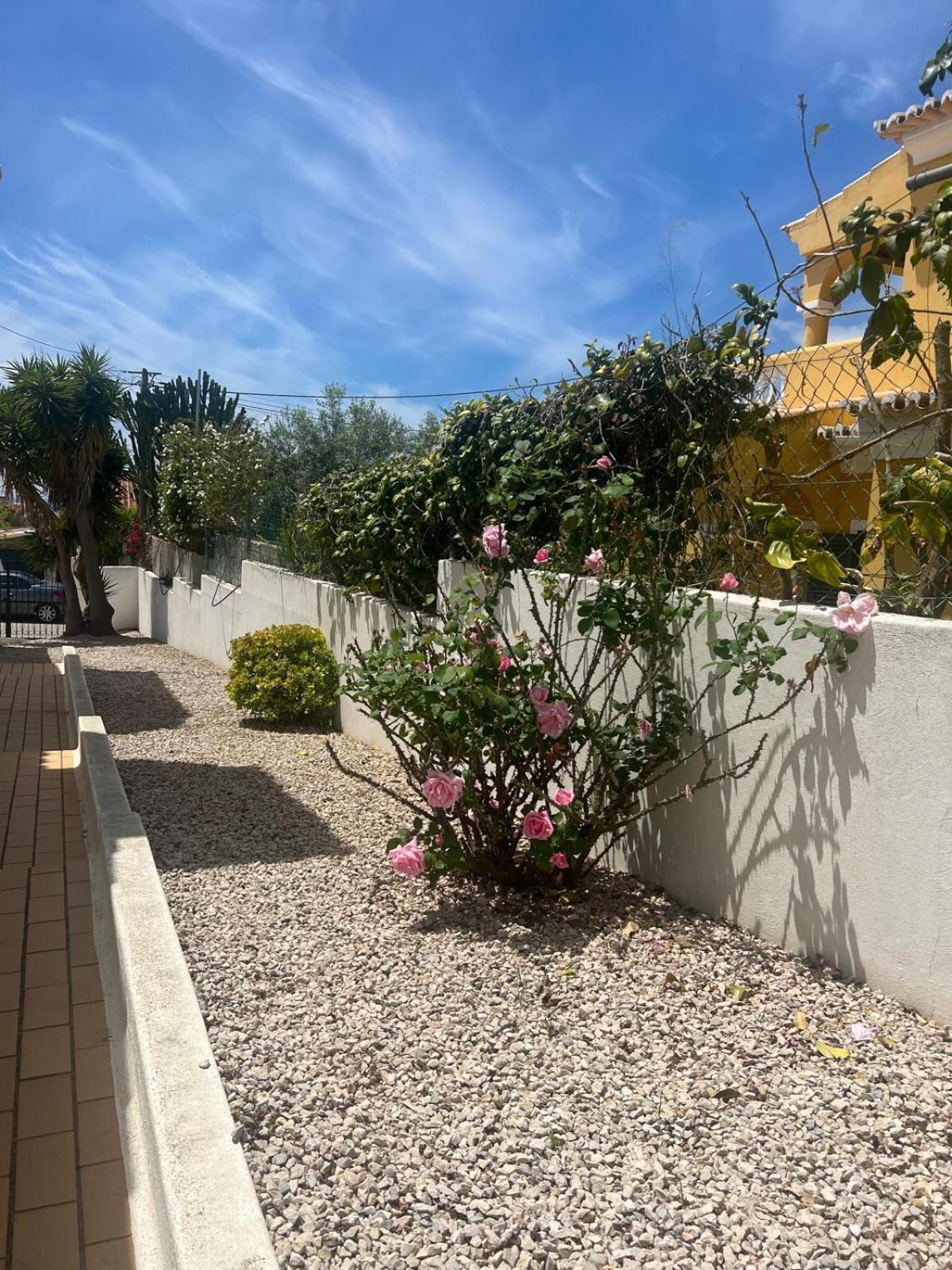 Casa Julia Villa Carvoeiro  Eksteriør billede